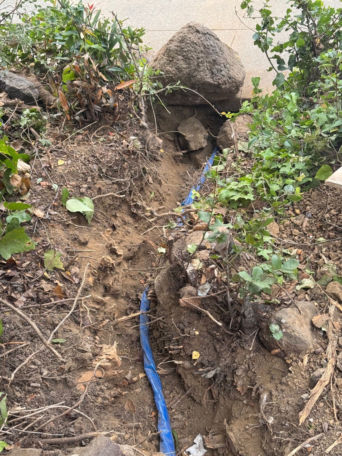 Copper Pipe Upgrade Boosts Water Efficiency