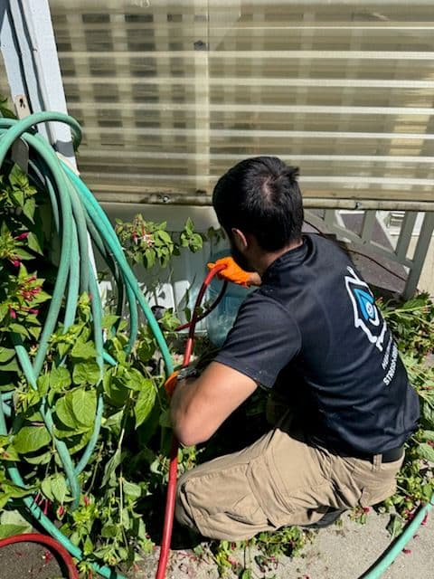 PlumRelief Swift Drain Solution in Fremont