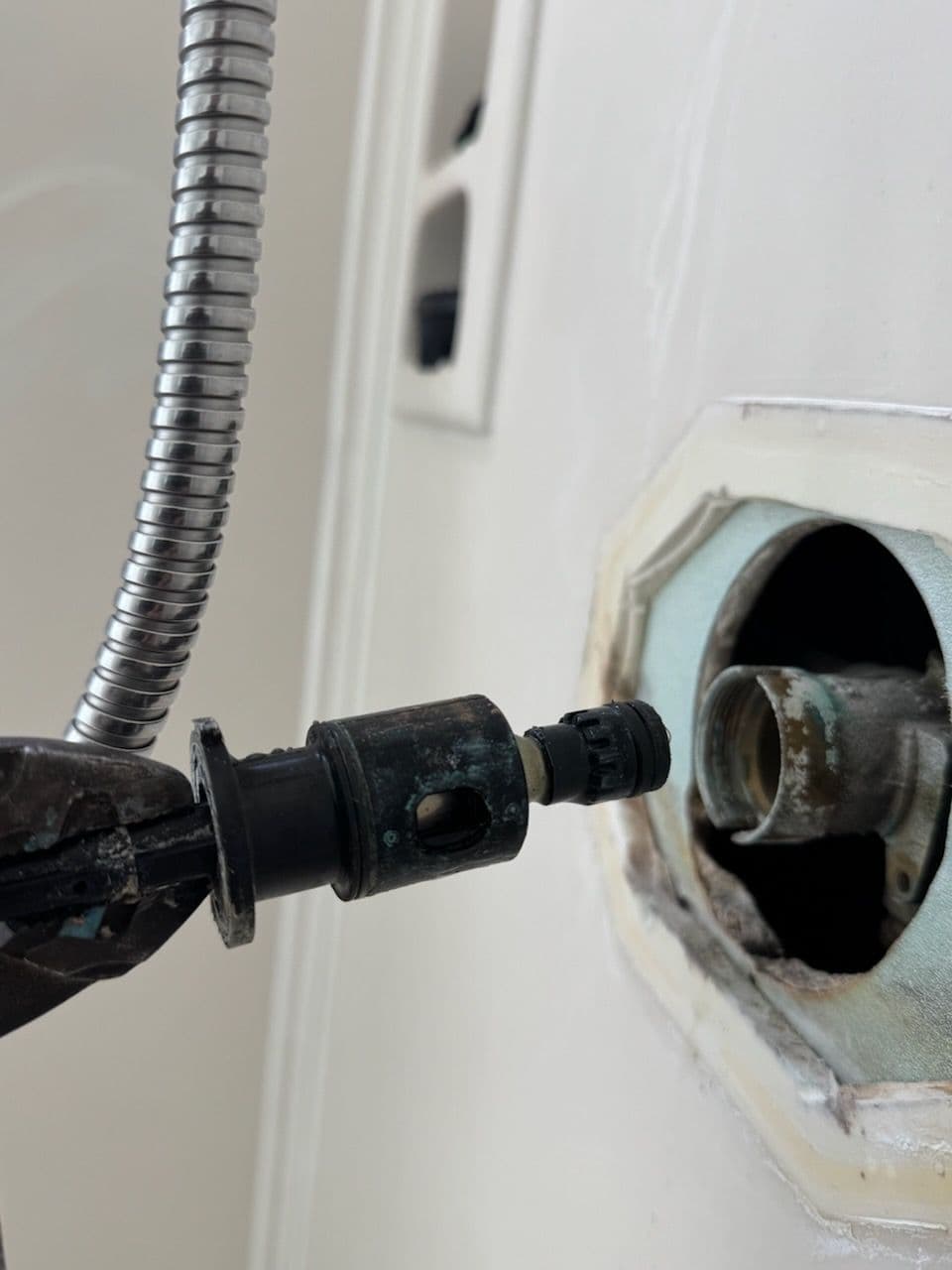 Leaky Shower Revamp in Livermore
